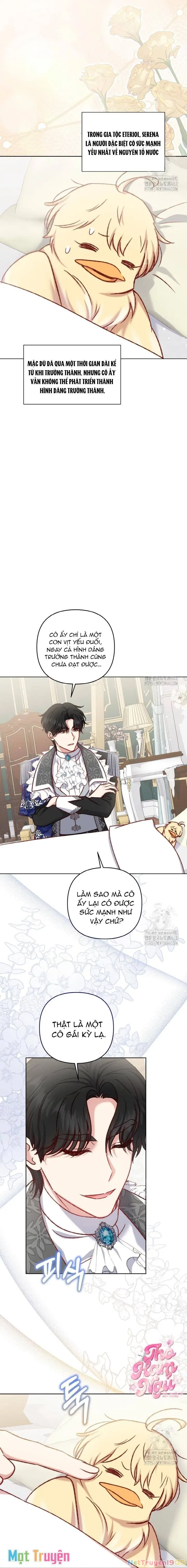 Nàng Vịt Chờ Ngày Hủy Hôn Chapter 34 - Trang 7