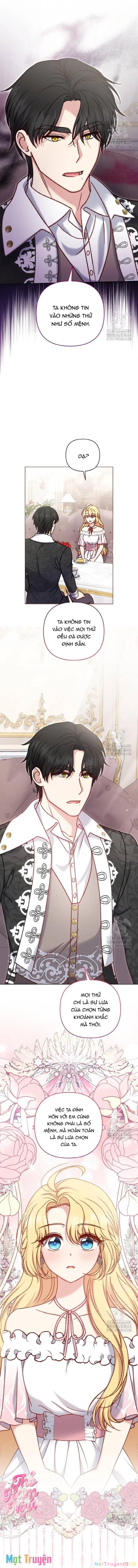 Nàng Vịt Chờ Ngày Hủy Hôn Chapter 37 - Trang 9