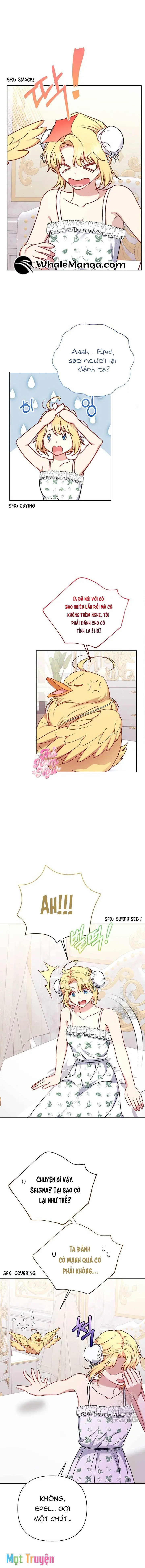 Nàng Vịt Chờ Ngày Hủy Hôn Chapter 9 - Trang 11