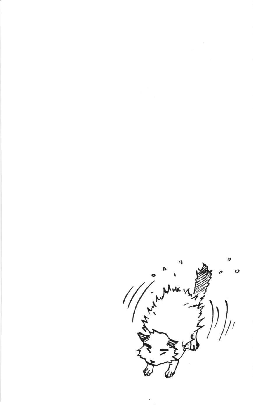 Naruto (NXB Kim Đồng) Chapter 1.1 - Trang 21