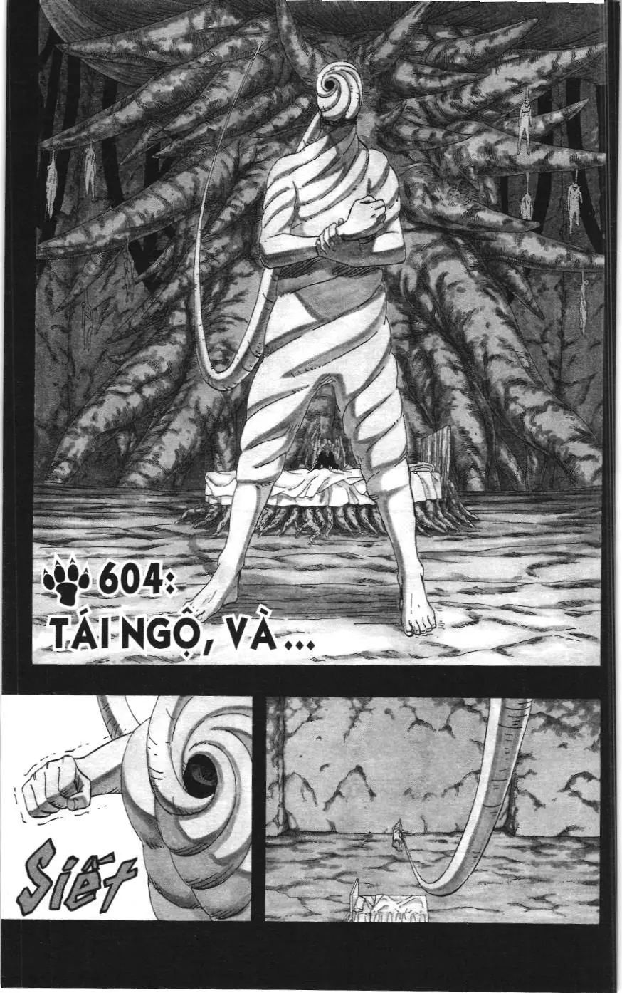 Naruto (NXB Kim Đồng) Chapter 604 - Trang 2