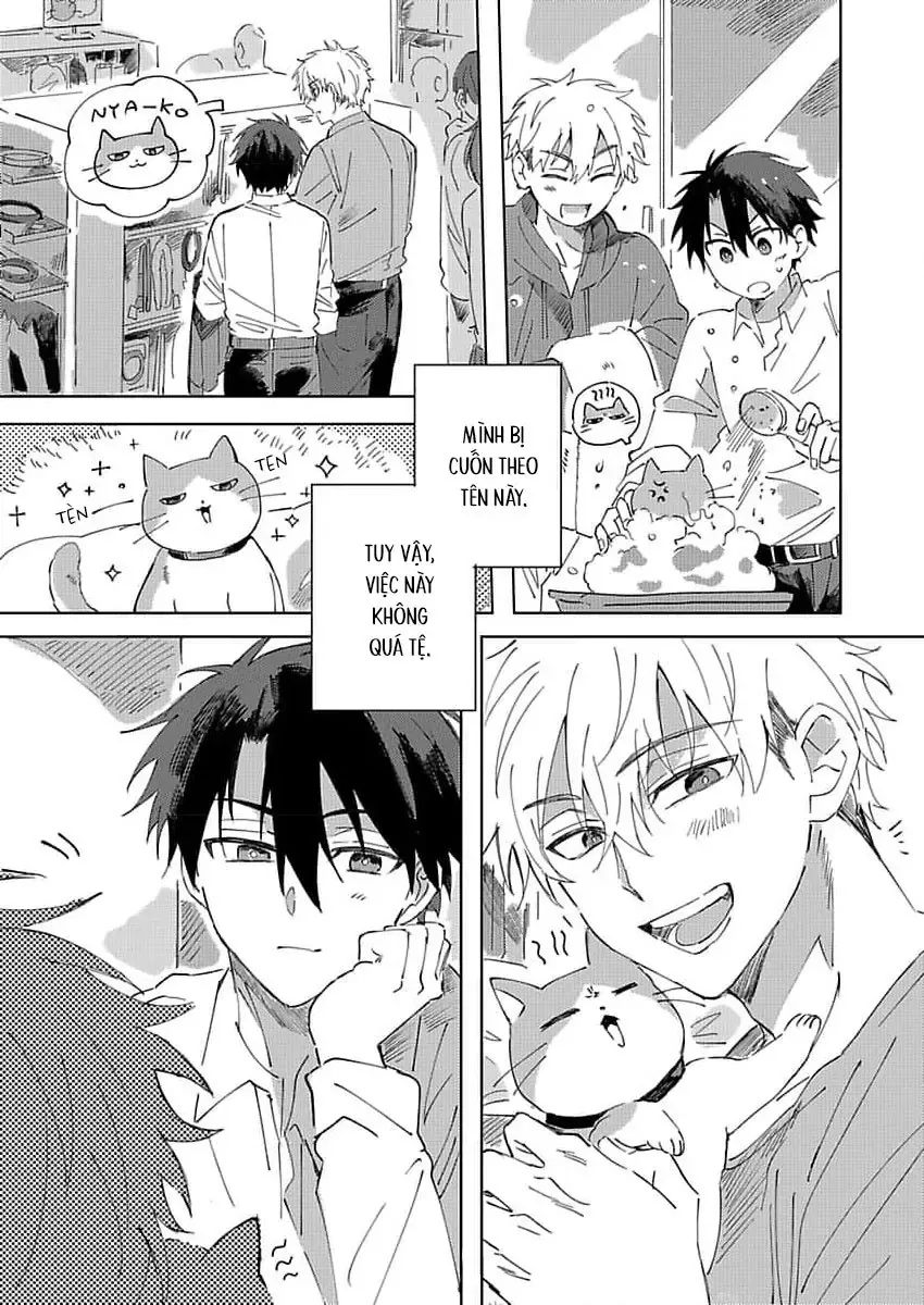 Neko No Tsuide Ni Otoko Wo Hiroimashita Chapter 1 - Trang 28