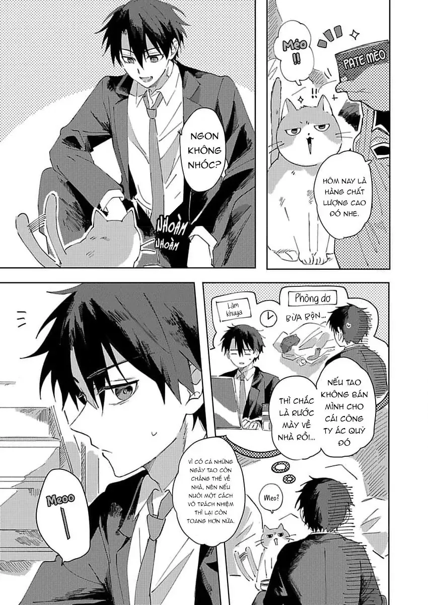 Neko No Tsuide Ni Otoko Wo Hiroimashita Chapter 1 - Trang 9