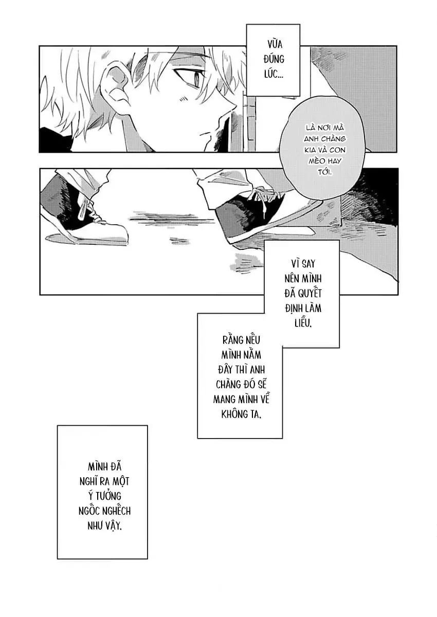 Neko No Tsuide Ni Otoko Wo Hiroimashita Chapter 2 - Trang 20
