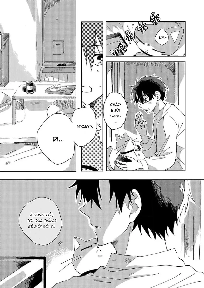 Neko No Tsuide Ni Otoko Wo Hiroimashita Chapter 3 - Trang 14