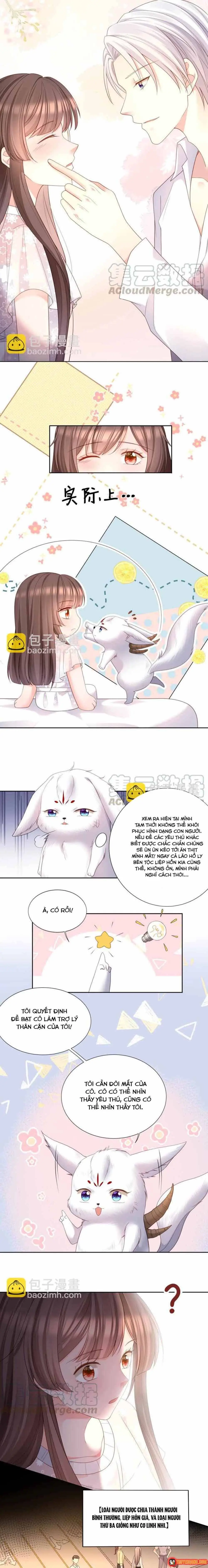 Ngàn Năm Bảo Hộ Đại Nhân Chapter 26 - Trang 3