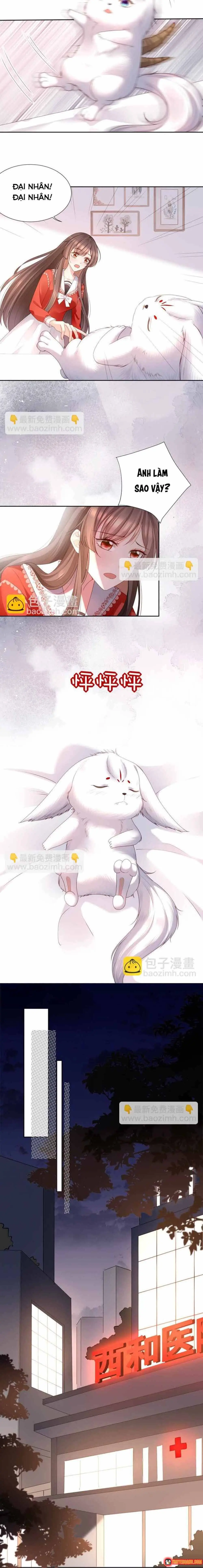 Ngàn Năm Bảo Hộ Đại Nhân Chapter 29 - Trang 8