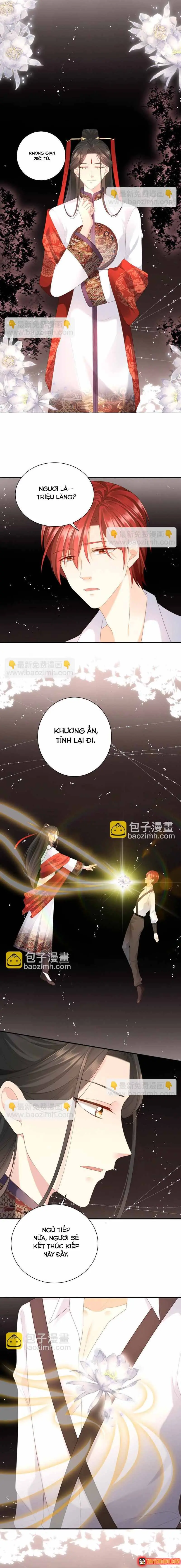 Ngàn Năm Bảo Hộ Đại Nhân Chapter 52 - Trang 5