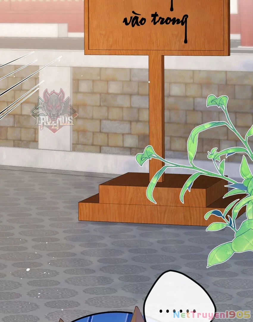 Nghe Nói Thái Hậu Với Thái Hậu Là Thật Sao? Chapter 26 - Trang 11