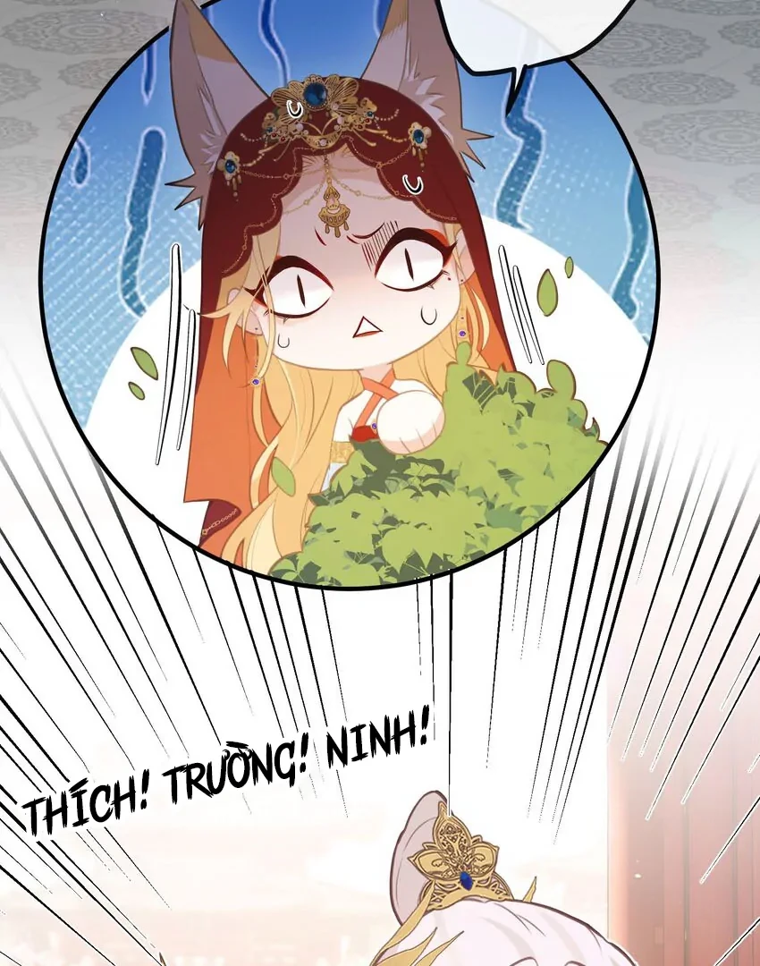 Nghe Nói Thái Hậu Với Thái Hậu Là Thật Sao? Chapter 26 - Trang 12