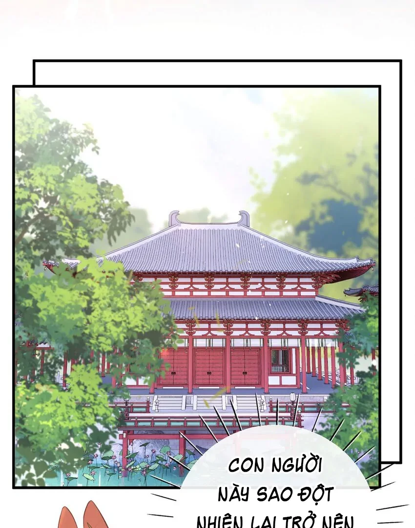 Nghe Nói Thái Hậu Với Thái Hậu Là Thật Sao? Chapter 26 - Trang 15