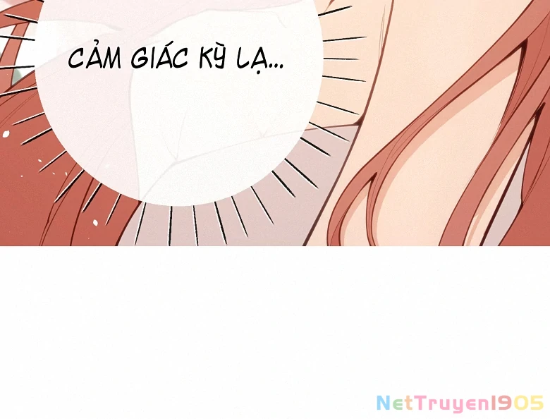 Nghe Nói Thái Hậu Với Thái Hậu Là Thật Sao? Chapter 39 - Trang 13