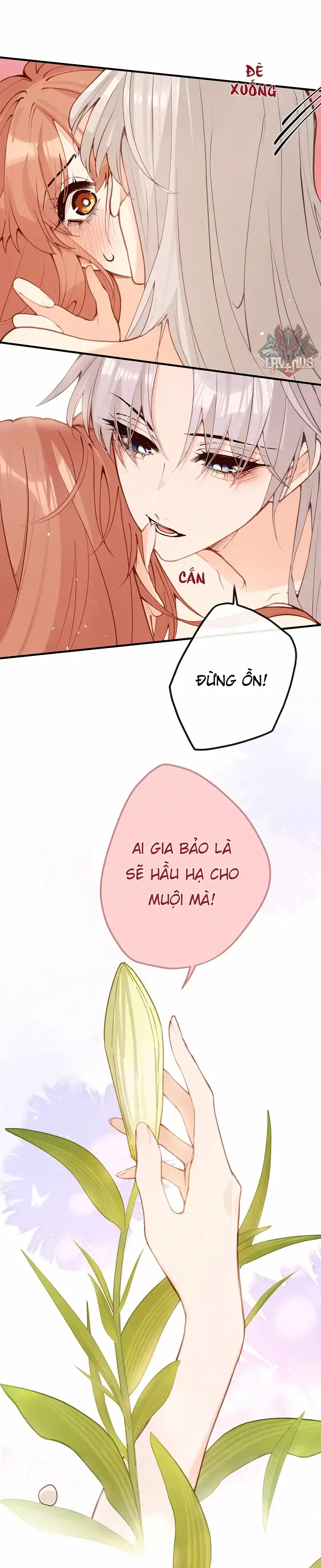 Nghe Nói Thái Hậu Với Thái Hậu Là Thật Sao? Chapter 39 - Trang 32