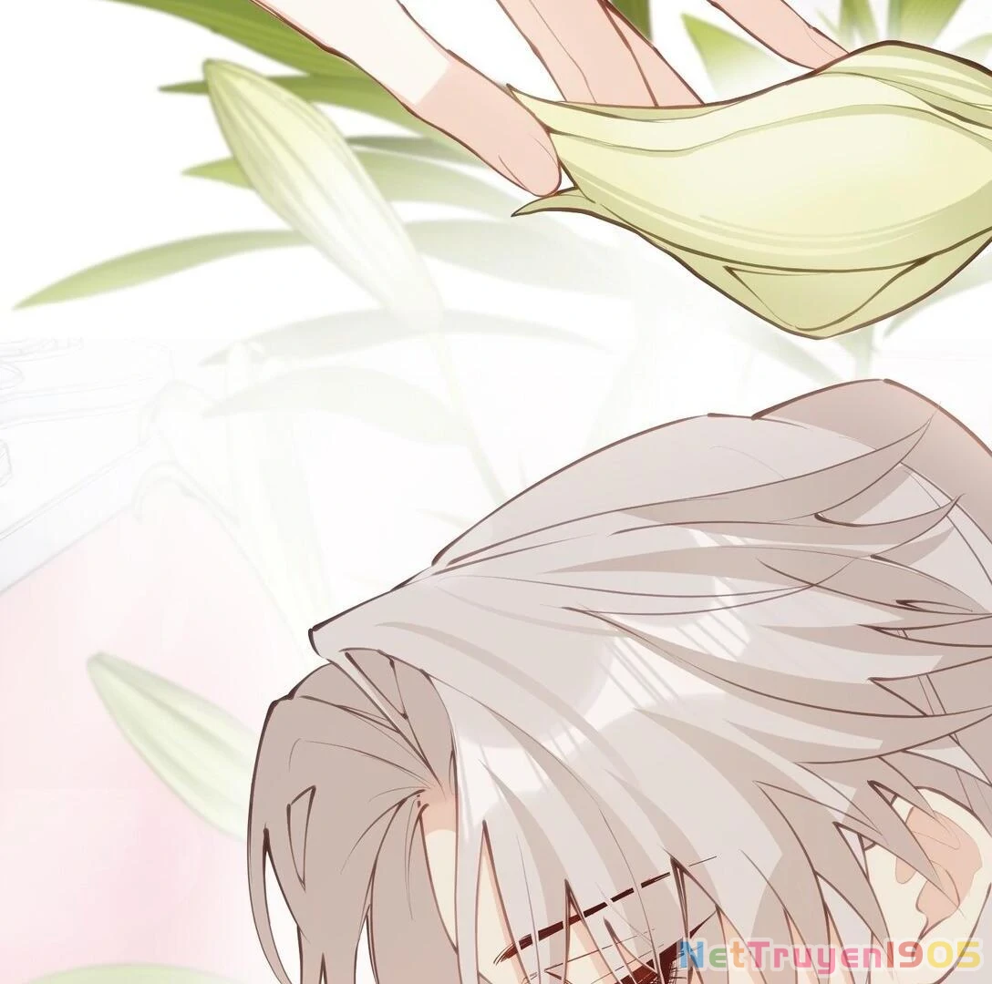 Nghe Nói Thái Hậu Với Thái Hậu Là Thật Sao? Chapter 40 - Trang 2