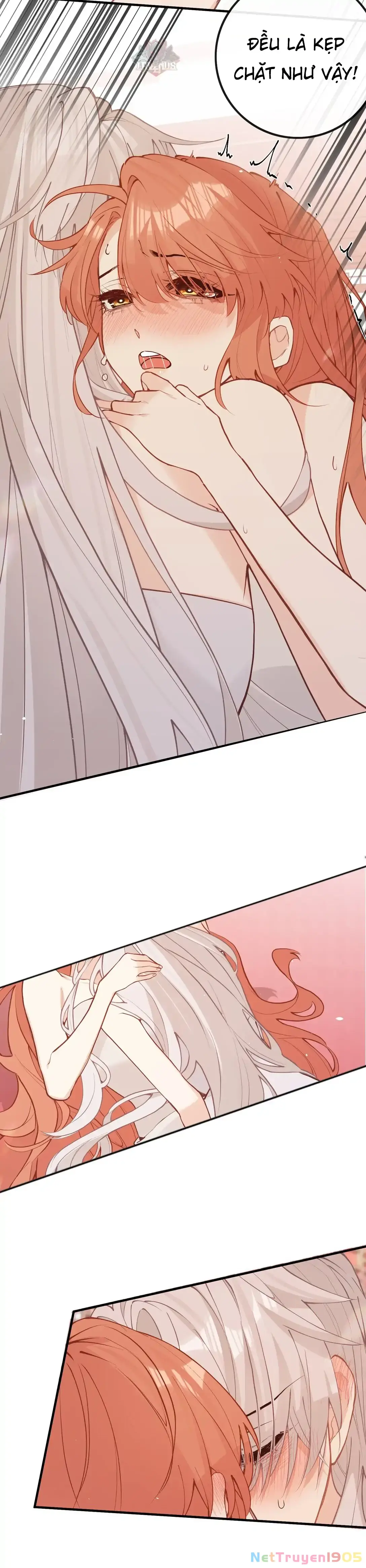 Nghe Nói Thái Hậu Với Thái Hậu Là Thật Sao? Chapter 40 - Trang 35