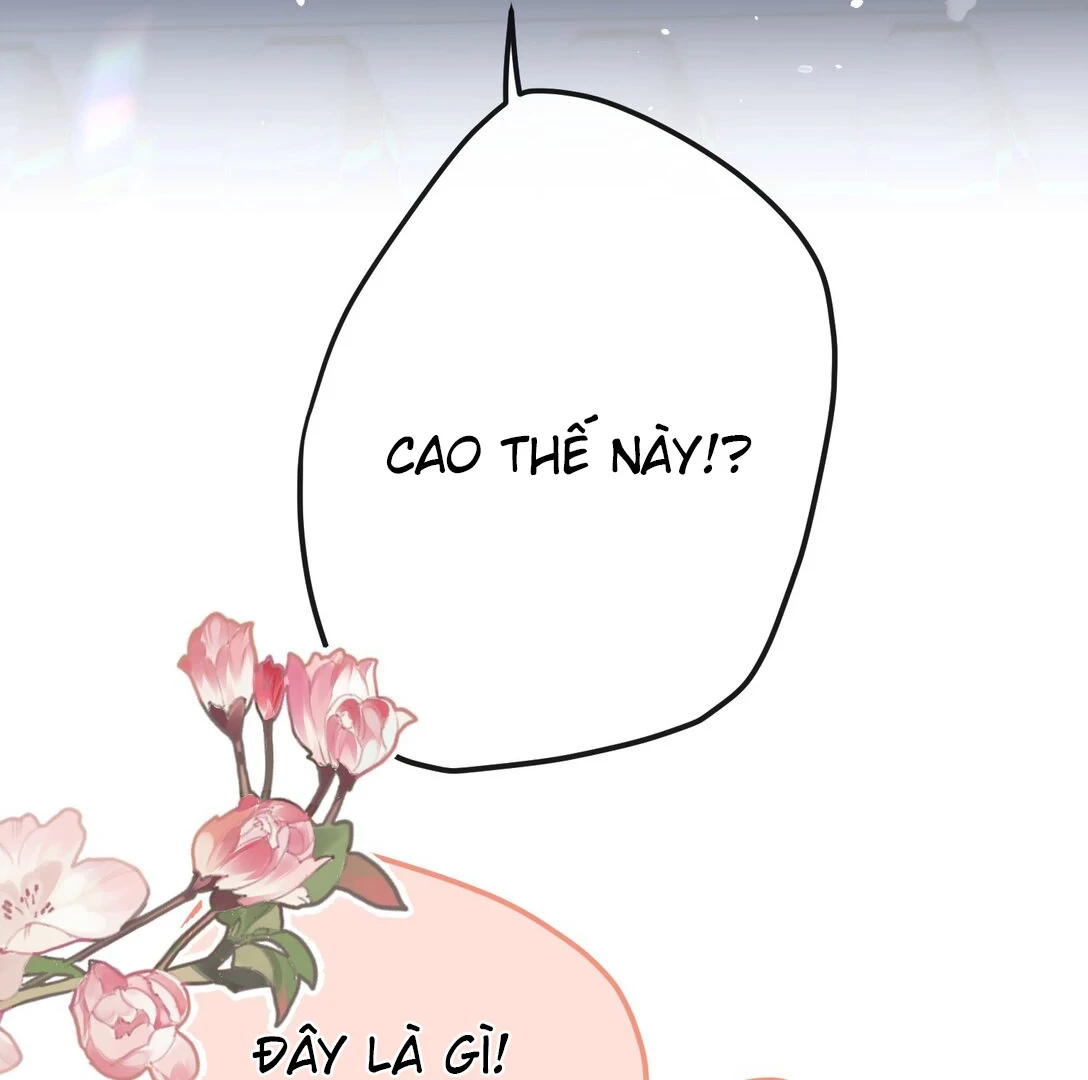 Nghe Nói Thái Hậu Với Thái Hậu Là Thật Sao? Chapter 46 - Trang 9