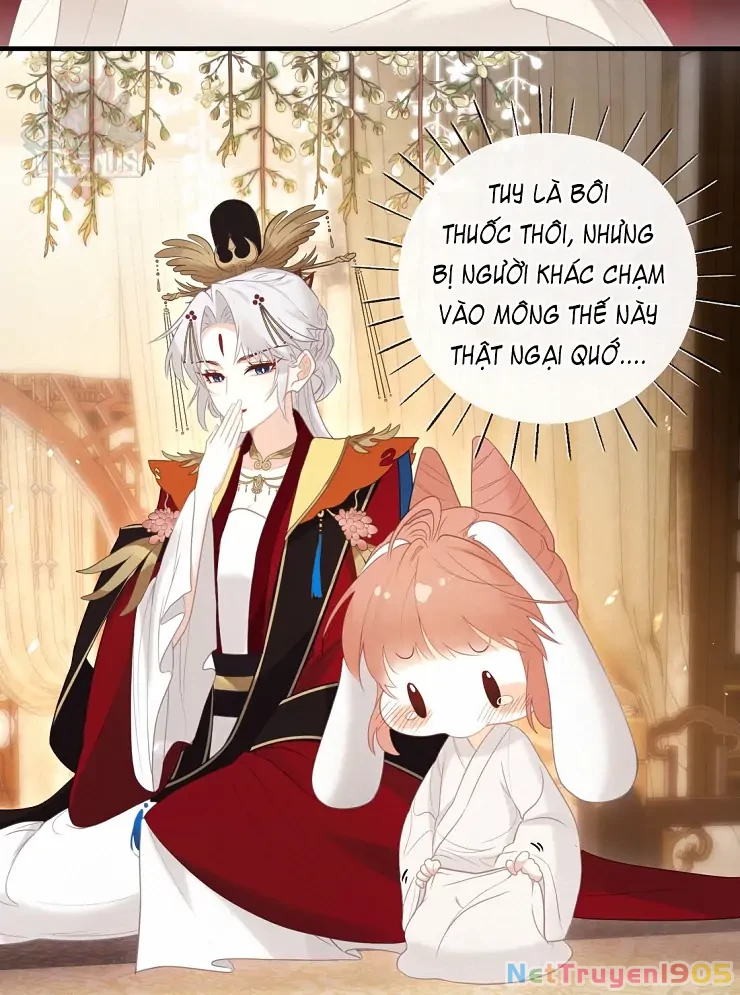 Nghe Nói Thái Hậu Với Thái Hậu Là Thật Sao? Chapter 6 - Trang 12