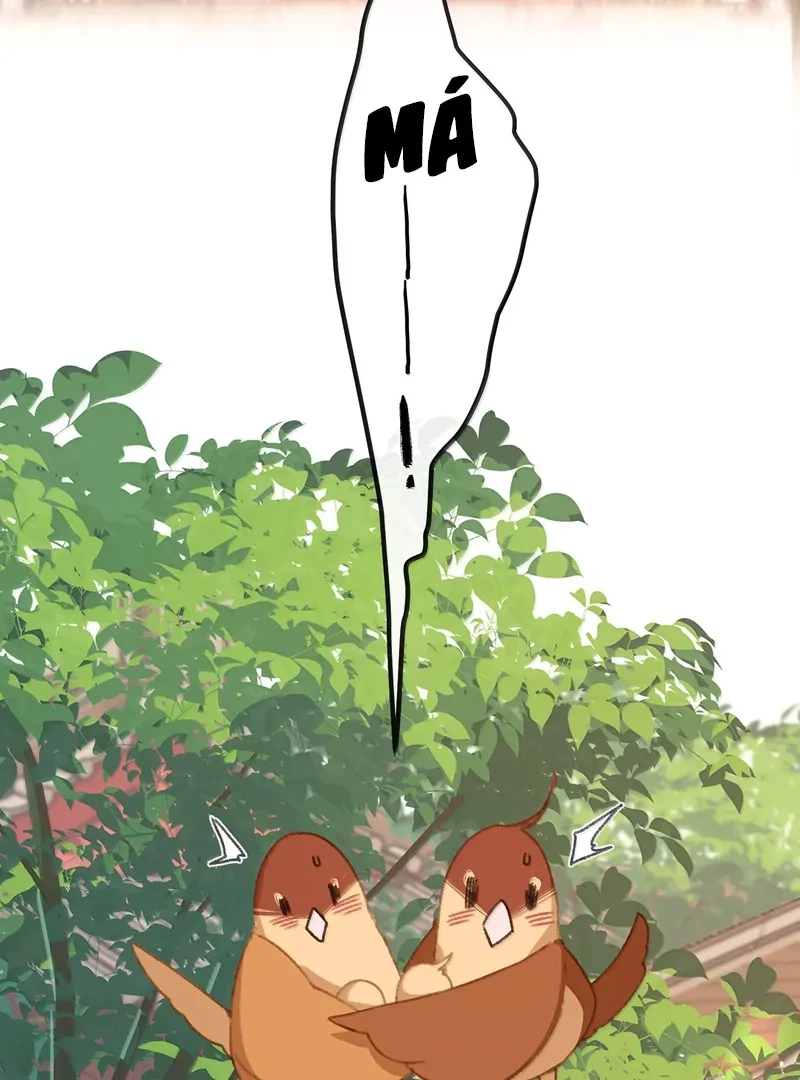 Nghe Nói Thái Hậu Với Thái Hậu Là Thật Sao? Chapter 76 - Trang 11