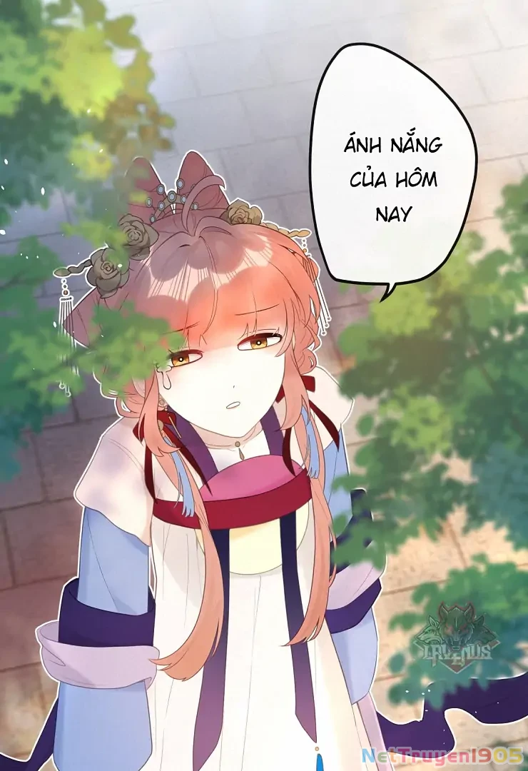 Nghe Nói Thái Hậu Với Thái Hậu Là Thật Sao? Chapter 8 - Trang 23