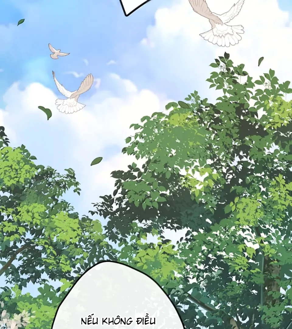 Nghe Nói Thái Hậu Với Thái Hậu Là Thật Sao? Chapter 90 - Trang 43