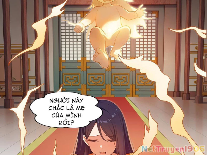 Nghịch Tập Từ Trong Bụng Mẹ: Vừa Sinh Ra Đã Là Vô Địch Chapter 1 - Trang 16