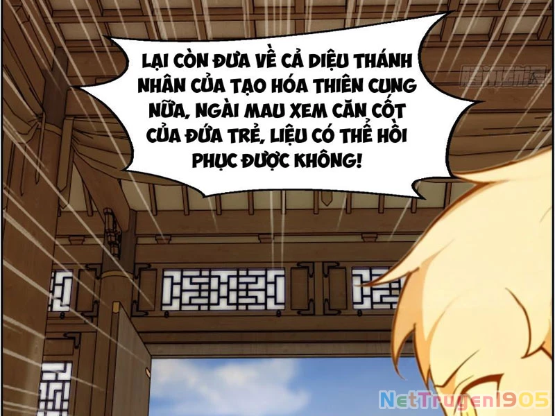 Nghịch Tập Từ Trong Bụng Mẹ: Vừa Sinh Ra Đã Là Vô Địch Chapter 3 - Trang 29