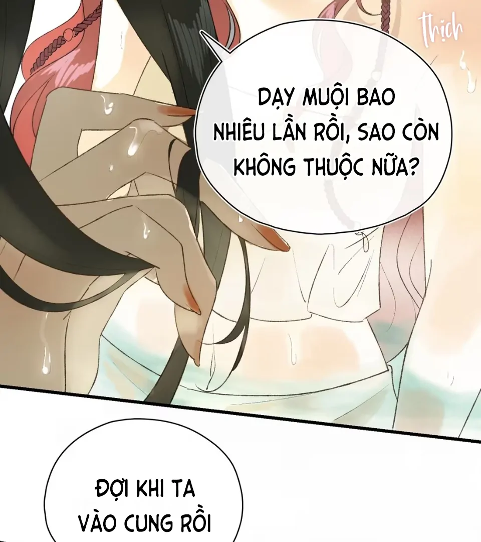 Ngọc Chỉ Tình Thiêu Chapter 1 - Trang 9