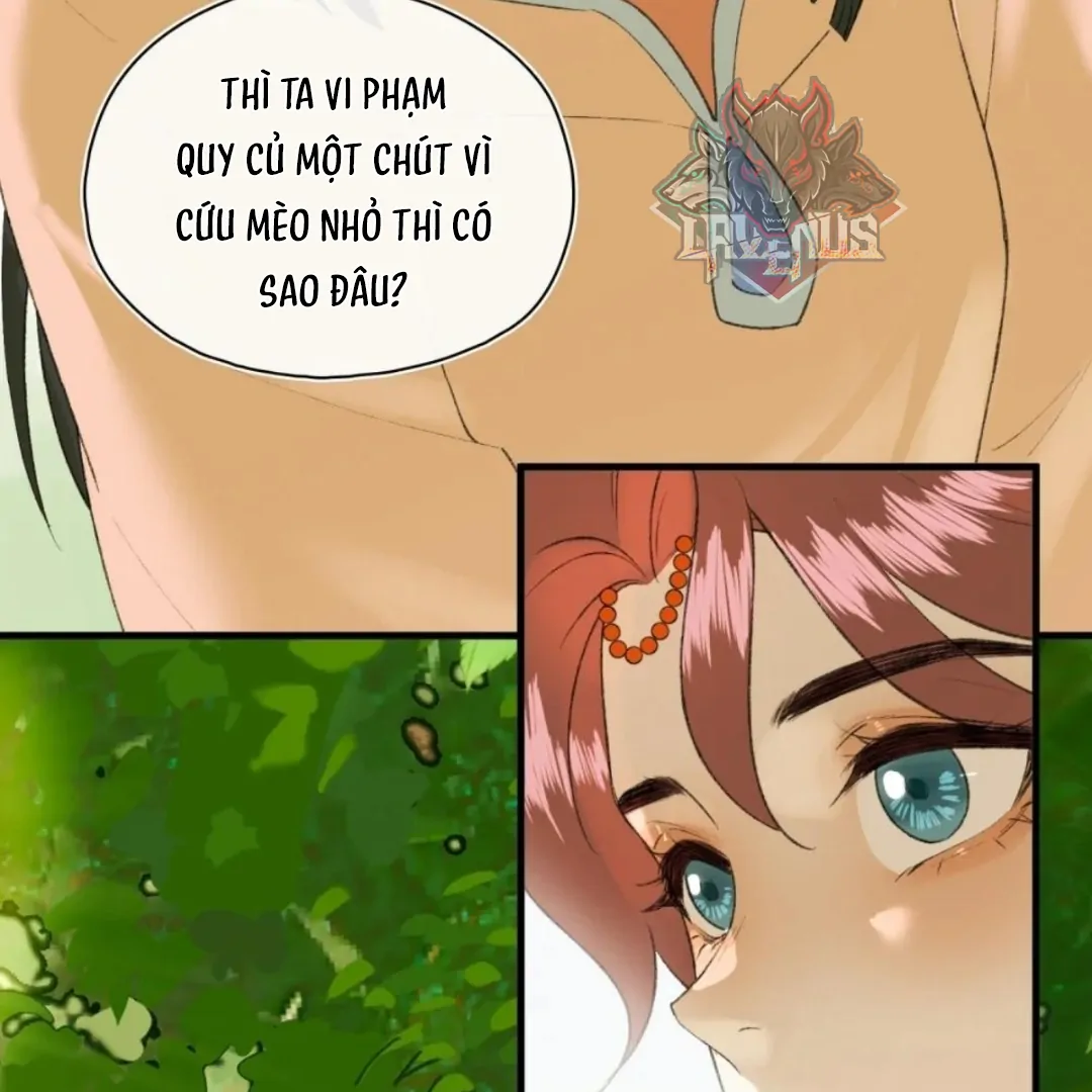 Ngọc Chỉ Tình Thiêu Chapter 13 - Trang 21