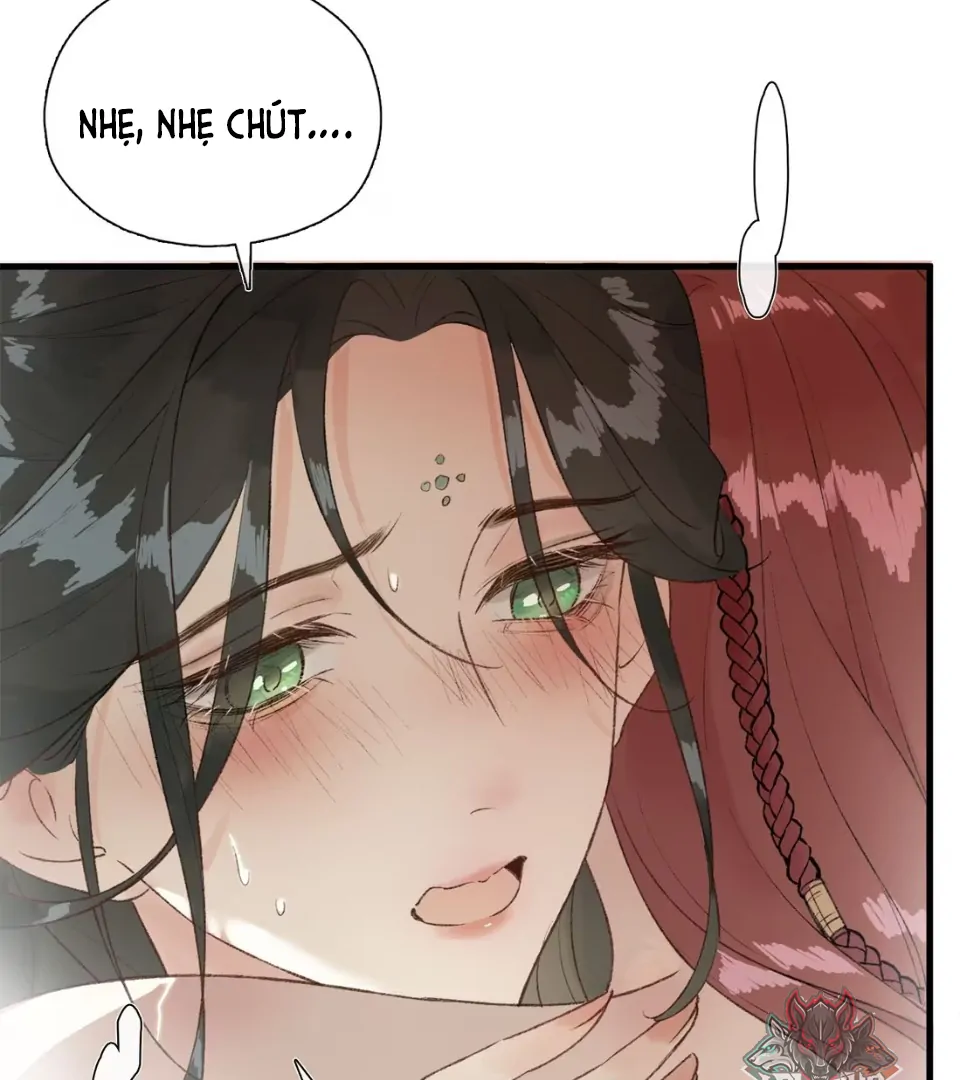 Ngọc Chỉ Tình Thiêu Chapter 2 - Trang 13