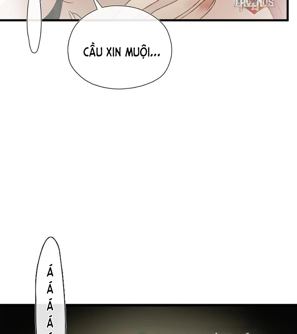Ngọc Chỉ Tình Thiêu Chapter 2 - Trang 14
