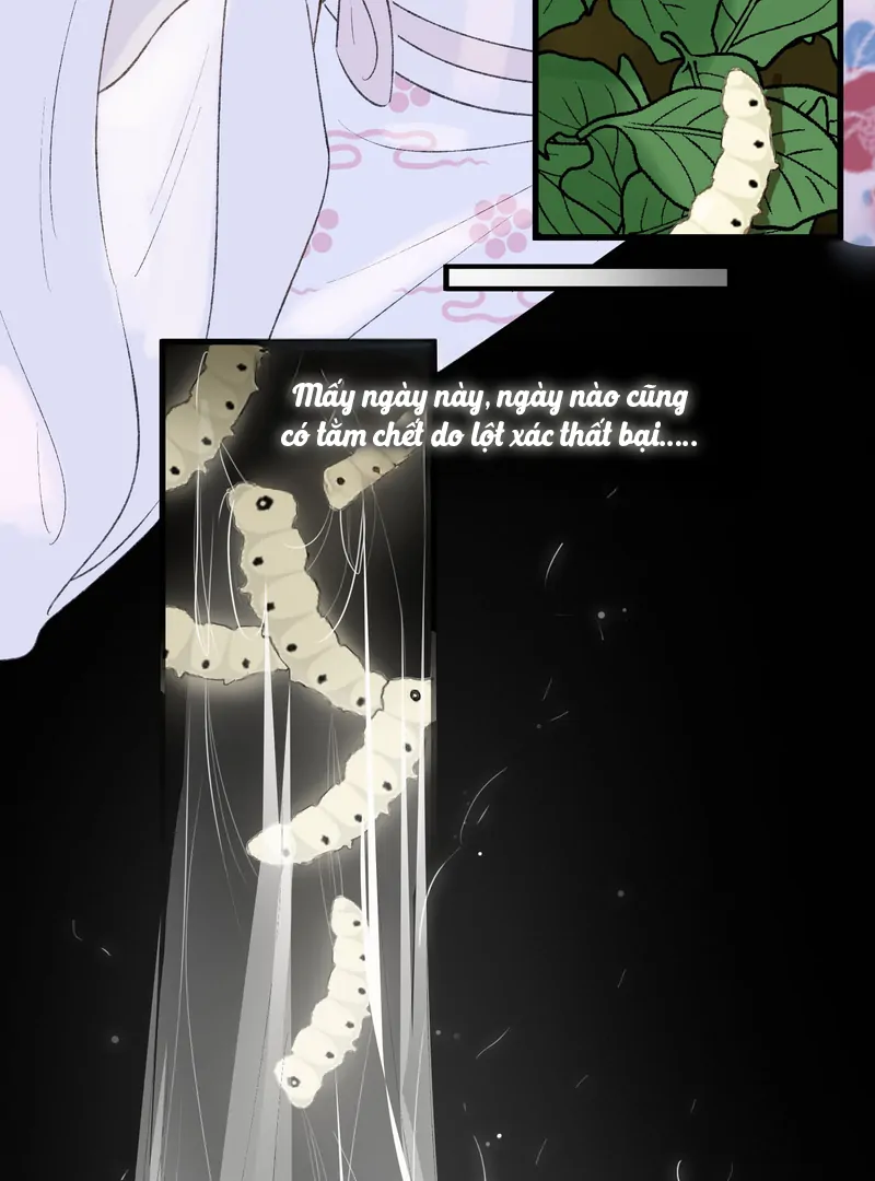 Ngọc Chỉ Tình Thiêu Chapter 5 - Trang 7