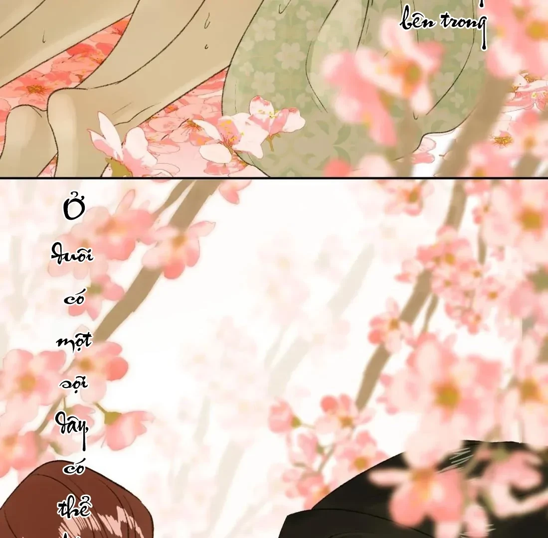 Ngọc Chỉ Tình Thiêu Chapter 8 - Trang 28