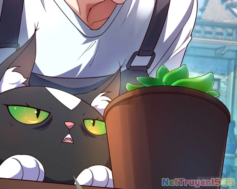 Ngự Thú Tiến Hóa Chapter 1 - Trang 42