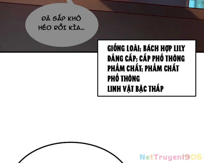 Ngự Thú Tiến Hóa Chapter 1 - Trang 43