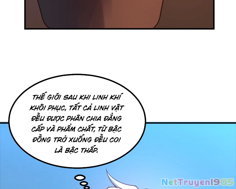 Ngự Thú Tiến Hóa Chapter 1 - Trang 46