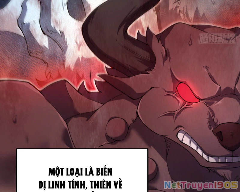 Ngự Thú Tiến Hóa Chapter 1 - Trang 7
