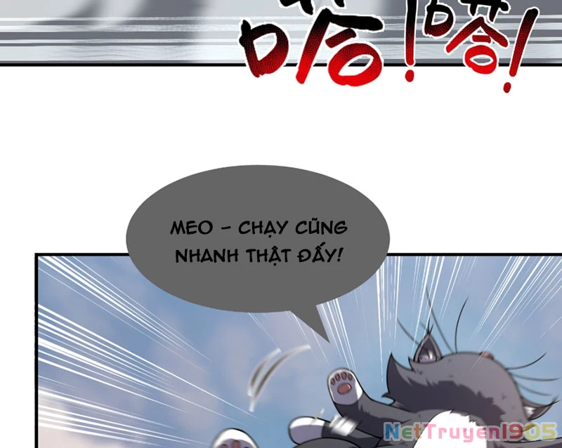Ngự Thú Tiến Hóa Chapter 4 - Trang 19