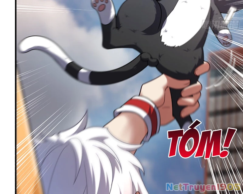 Ngự Thú Tiến Hóa Chapter 4 - Trang 20