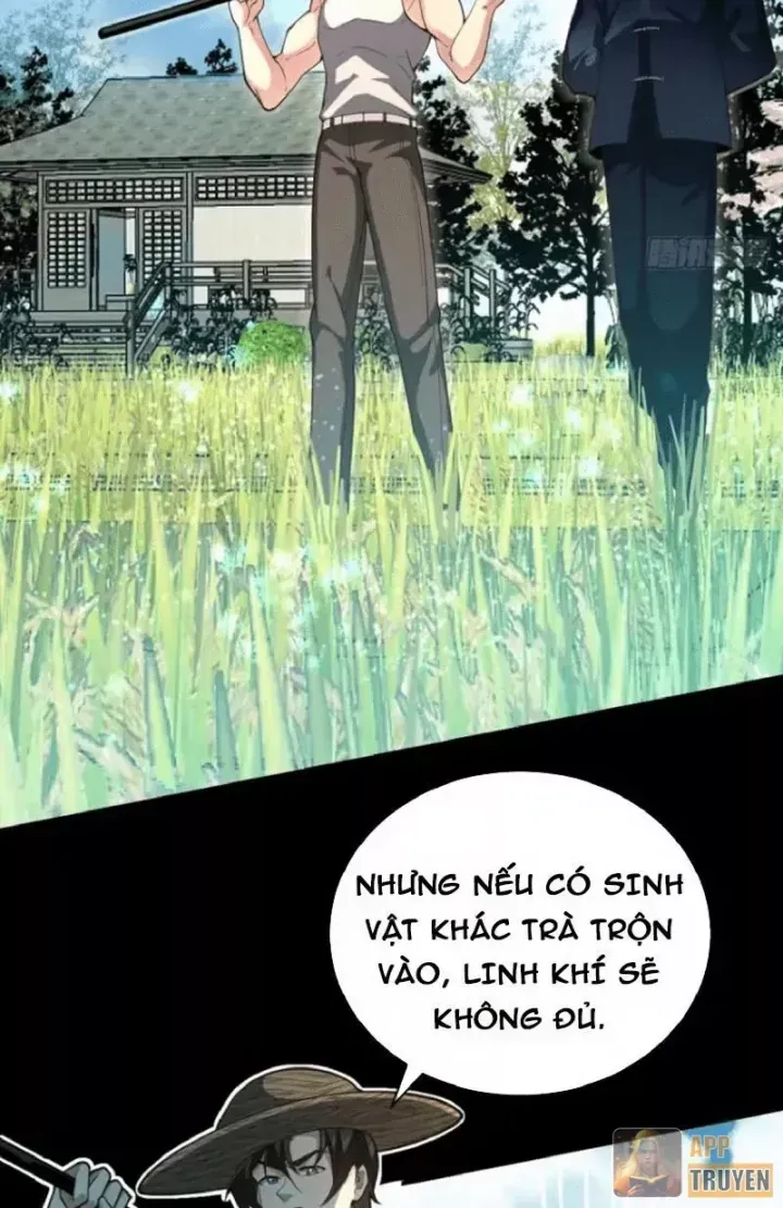 Người Khác Luyện Cấp Ta Tu Tiên, Tới Đại Thừa Kỳ Thì Rời Núi Chapter 38 - Trang 32