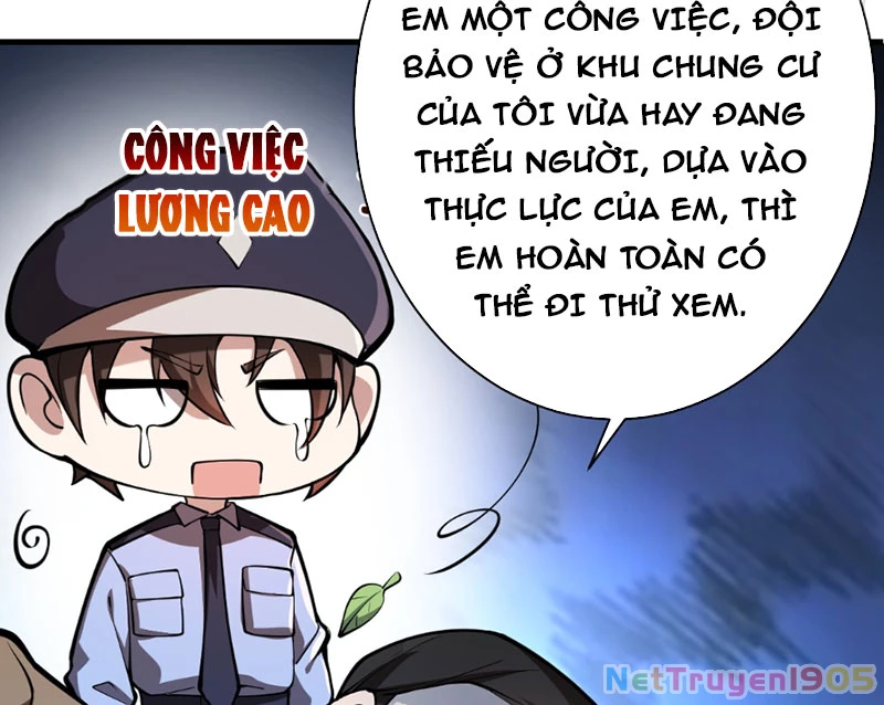 Người Khác Luyện Cấp Ta Tu Tiên, Tới Đại Thừa Kỳ Thì Rời Núi Chapter 5 - Trang 12