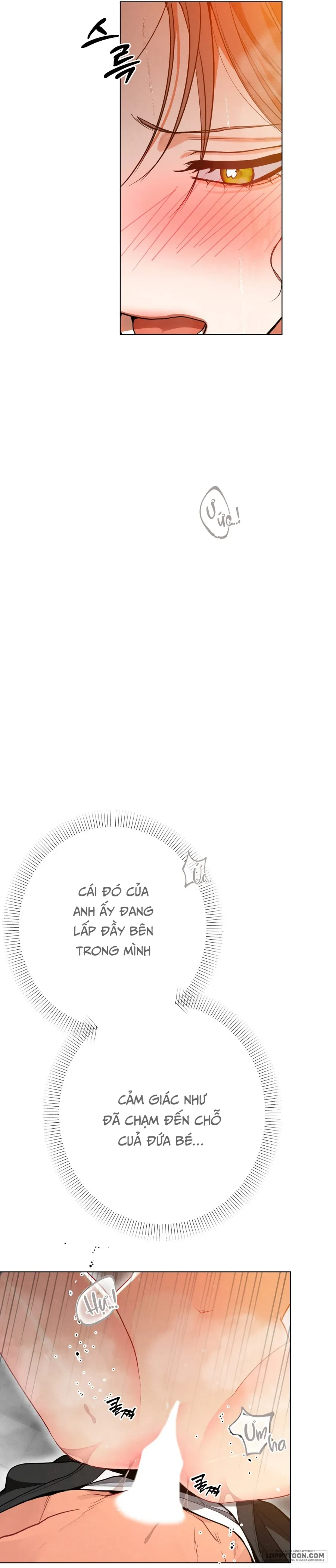 Ngưỡng Tuyệt Đối Chapter 45 - Trang 24