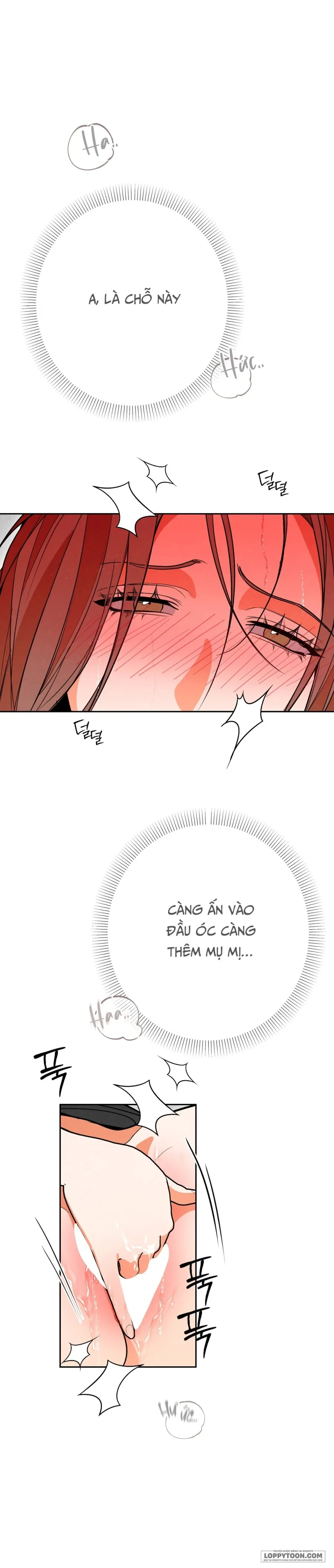 Ngưỡng Tuyệt Đối Chapter 72 - Trang 3