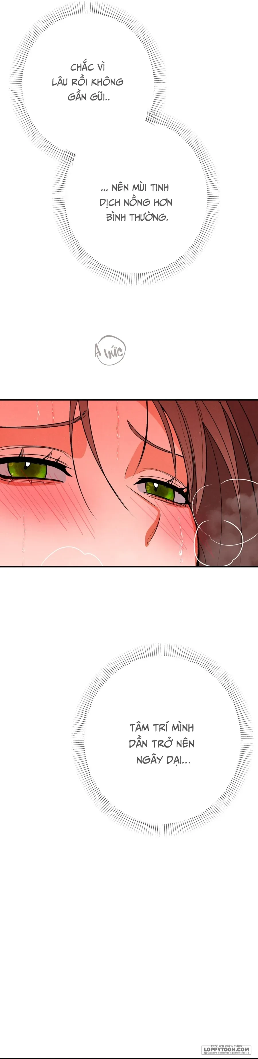 Ngưỡng Tuyệt Đối Chapter 75 - Trang 4
