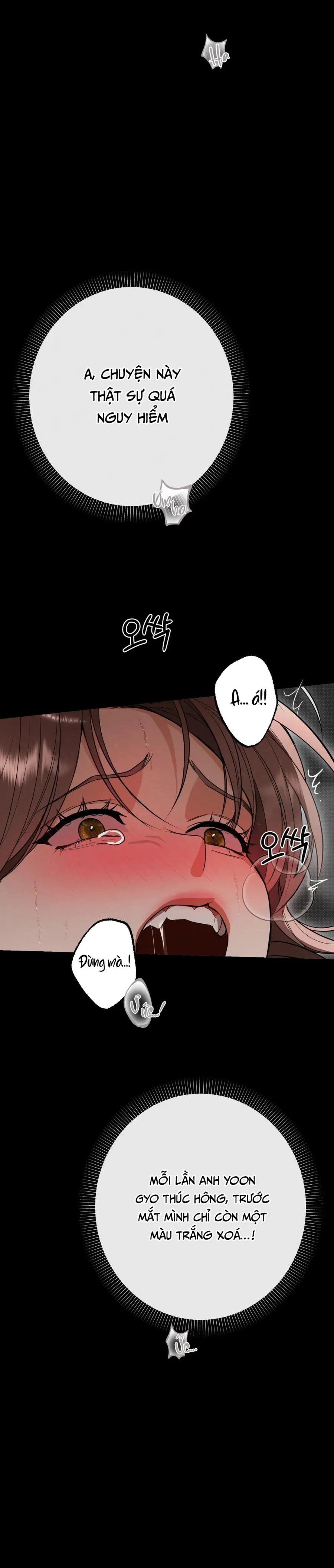 Ngưỡng Tuyệt Đối Chapter 78 - Trang 12