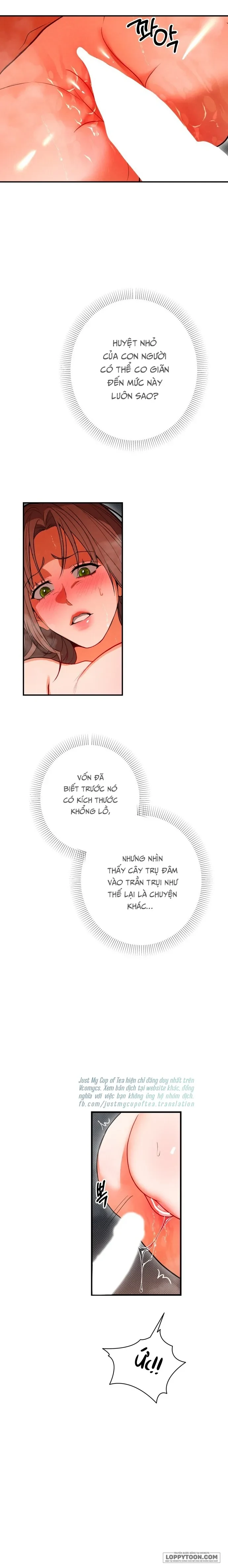 Ngưỡng Tuyệt Đối Chapter 79 - Trang 20