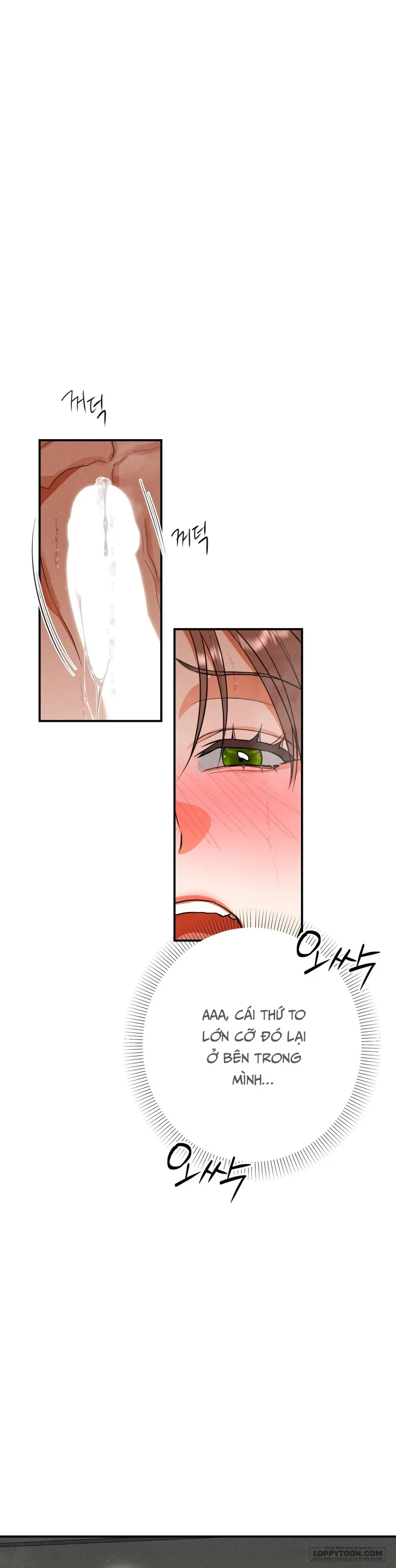 Ngưỡng Tuyệt Đối Chapter 80 - Trang 17