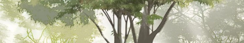 Nguyệt Trầm Ngâm Chapter 120 - Trang 8