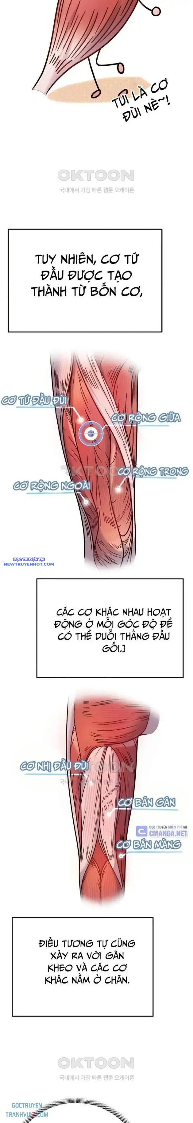 Nhà Vật Lý Trị Liệu Thần Kỳ Chapter 72 - Trang 11