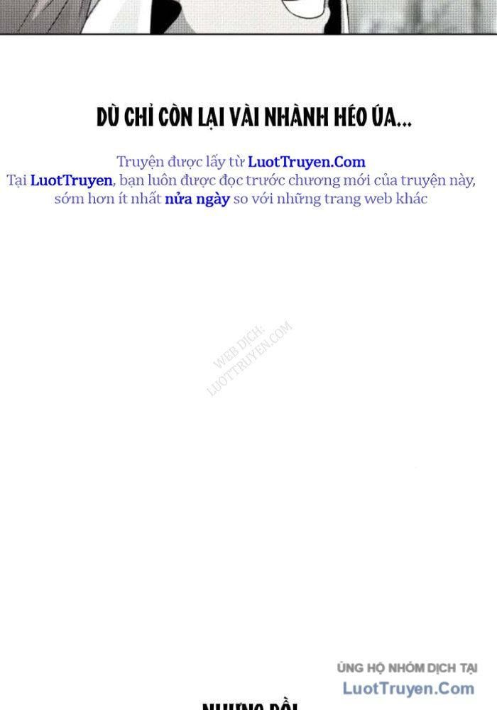 Nhân Diện Chapter 19 - Trang 8