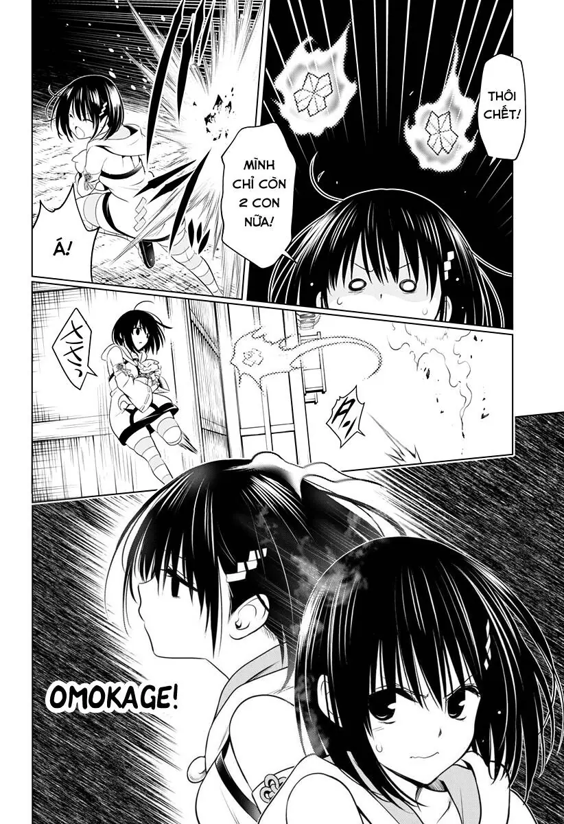 Nhẫn Giả Diệt Quỷ Chapter 101 - Trang 14